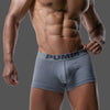 Pump Mr. Gray Boxer