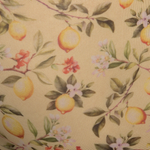 Addicted Lemon Garden Brief Gul